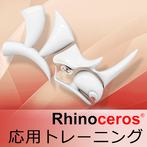 Rhinoceros 応用トレーニング